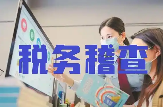 全国税务稽查工作会议召开